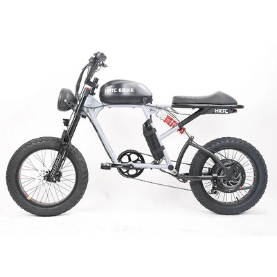 Electric Retro Motorcycle with Soft Tail, High Power Motor, Off-Road Motorbike, Off-road Bicycle, 20 Super Ebike, 48V, 1500W