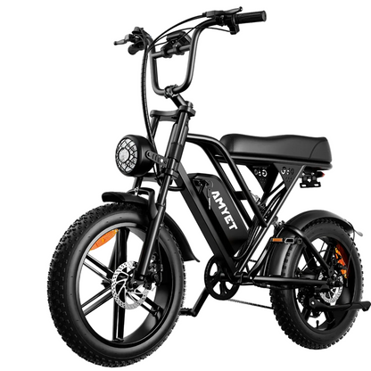AMYET V9-G60 Adults Electric Bike 1000W Motor Bicycle 48V 20AH 20“ Tire Ebike Electric E Bikes Mountain Moped Ebikes For Men