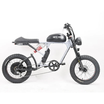 Electric Retro Motorcycle with Soft Tail, High Power Motor, Off-Road Motorbike, Off-road Bicycle, 20 Super Ebike, 48V, 1500W